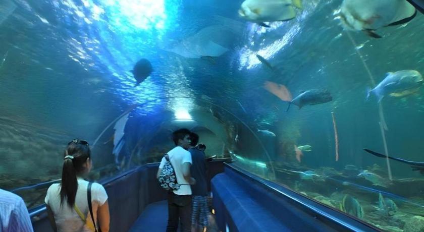 Vinpearl Discovery Rockside Nha Trang Esterno foto